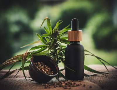 cbd-gace9c9b9d_640 konopie lecznicze